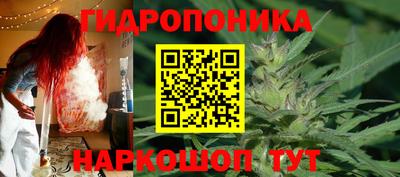 индика Северобайкальск