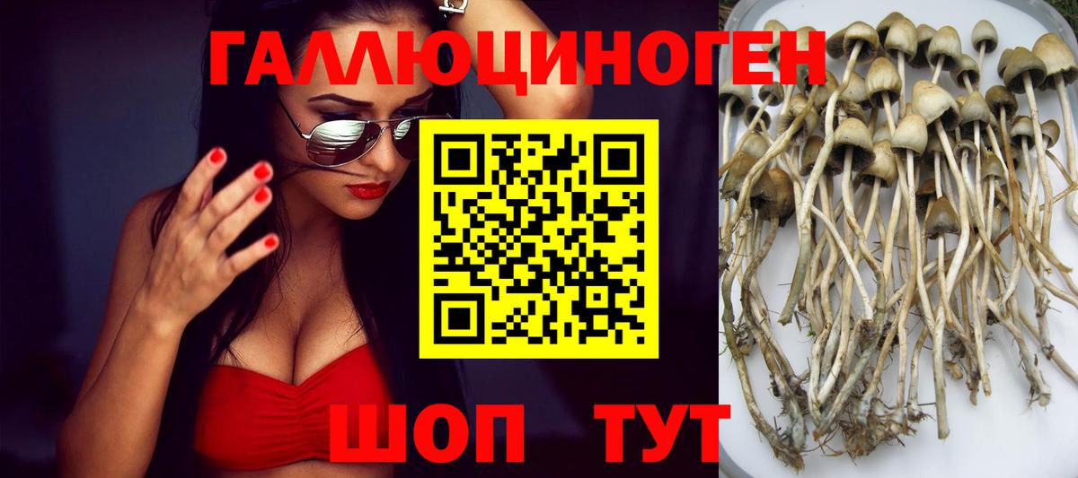 Галлюциногенные грибы мухоморы Можга